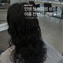 쏘스윗펫살롱 | 나주혁신도시 미용실 히피펌 대만족 후기 쏘이살롱 2호점
