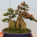 신산공원 이미지