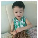 연선건어물 네이버블로그