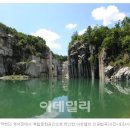 초록숲 이미지