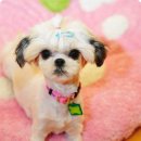 몽글몽글 이미지