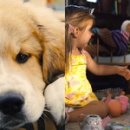 안녕댕댕이 이미지