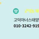 태양공인중개사사무소 네이버블로그