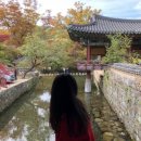 성하돼지집 | 순천여행-3(낙안읍성, 송광사, 선암사)