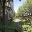 산호공인중개사사무소 이미지