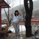 느릅나무민박 이미지