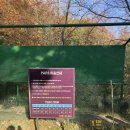 비젼힐스 | 비전힐스 파3 늦가을 라운딩 및 맛집 후기