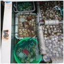 파도와함께하는펜션 이미지