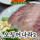 대전 도안동 횟집 오징어나라2 술집으로 제격