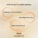 티나스칼프