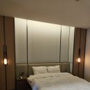 소노펠리체 델피노 이미지