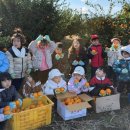 원아농장 이미지