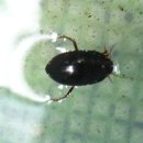 부곡농장2 이미지