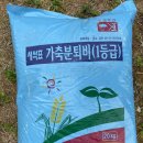한농종묘사 | 초보농부 고추 심기 리뷰