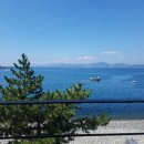 씨엘로 펜션 2 이미지