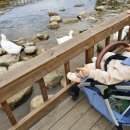 스마트 오토 이미지