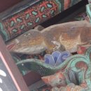 돼지보러오면돼지 이미지