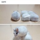 이* - 해남군 | 이*