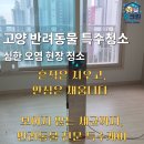 크린통상 | 고양 반려동물 털제거 비용 유난히 오염이 심했던 현장 청소 후기