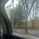 [영화관 후기] 마녀가 아니라 보살이었던 엘파바;; <위키드: 포 굿> 메가박스 상암점 돌비시네마 후기...