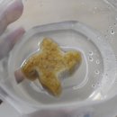 (주)우리덴탈 이미지