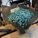 성북-돈암-2151 이미지