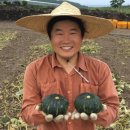 옹포정미소