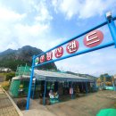 산방산랜드 | [제주 아이와 가볼만한곳] 산방산 뷰가 예술인 가성비 놀이공원 '산방산랜드' 레일썰매 바이킹 솔직후기