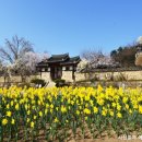 서해목장 | [서해금빛열차+예산관광택시]아름다운 예산 아그로랜드+예산시장