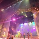 (주)아마존 | 10월 마지막주 에버랜드방문 후기(주차팁/로스트밸리/아마존익스프레스/사파리월드/스페이스투어/판다...