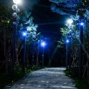 여주장어 명성회관 이미지