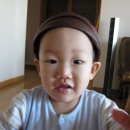 예쁜댕 이미지