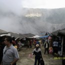 송진농장 이미지