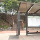 황골쌍용 이미지