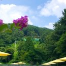 카페토리 이미지