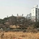 영산강변우안 자전거도로4 | 풍영정 맞은편 영산강 8,000보 걷기 / 국립광주 박물관 홍매화 감상