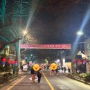 왕벚꽃식당 | 제목 전농로 왕벚꽃축제 후기 | 코스·먹거리·주차 꿀팁