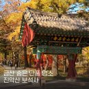 보석사   은행나무 | 충남 금산 가볼만한곳 숨은 단풍 명소 보석사 은행나무 실시간 현황 애견동반 방문 후기