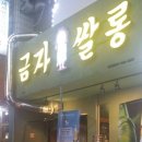 금자살롱