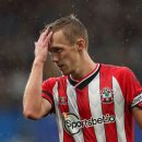 프라우스 이미지