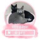 용문산 맛집 양평 한정식 남도불고기 따듯한 솥밥과 불고기