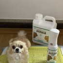 강아지냄새제거탈취제 쉬야냄새(with.고양이)