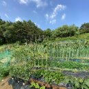 홍이네농장 이미지