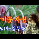 할미꽃 사연-노래 김부옥 이미지