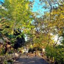 동두산체육공원 이미지