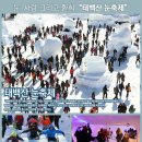 해피버스클럽여행사 이미지