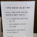 순두부와빈대떡마을 | 파주 운정 맛집 부벽정 평양만두 주말 저녁 방문 후기 평양 만두 찐 맛집