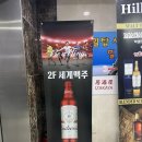 세계맥주강남스타일