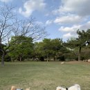 두류칼국수 이미지