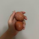 다온한약국 이미지